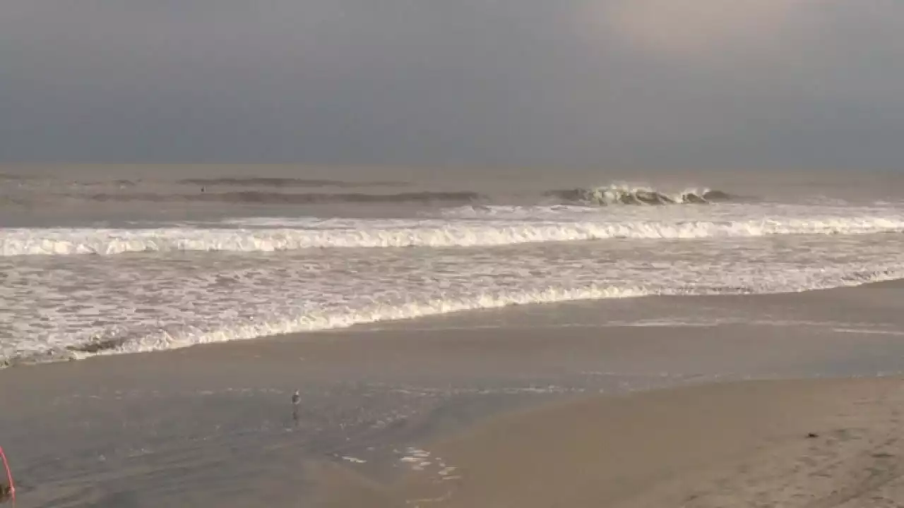 'Nasty stingers': Man warns of clinging jellyfish found at Jersey Shore