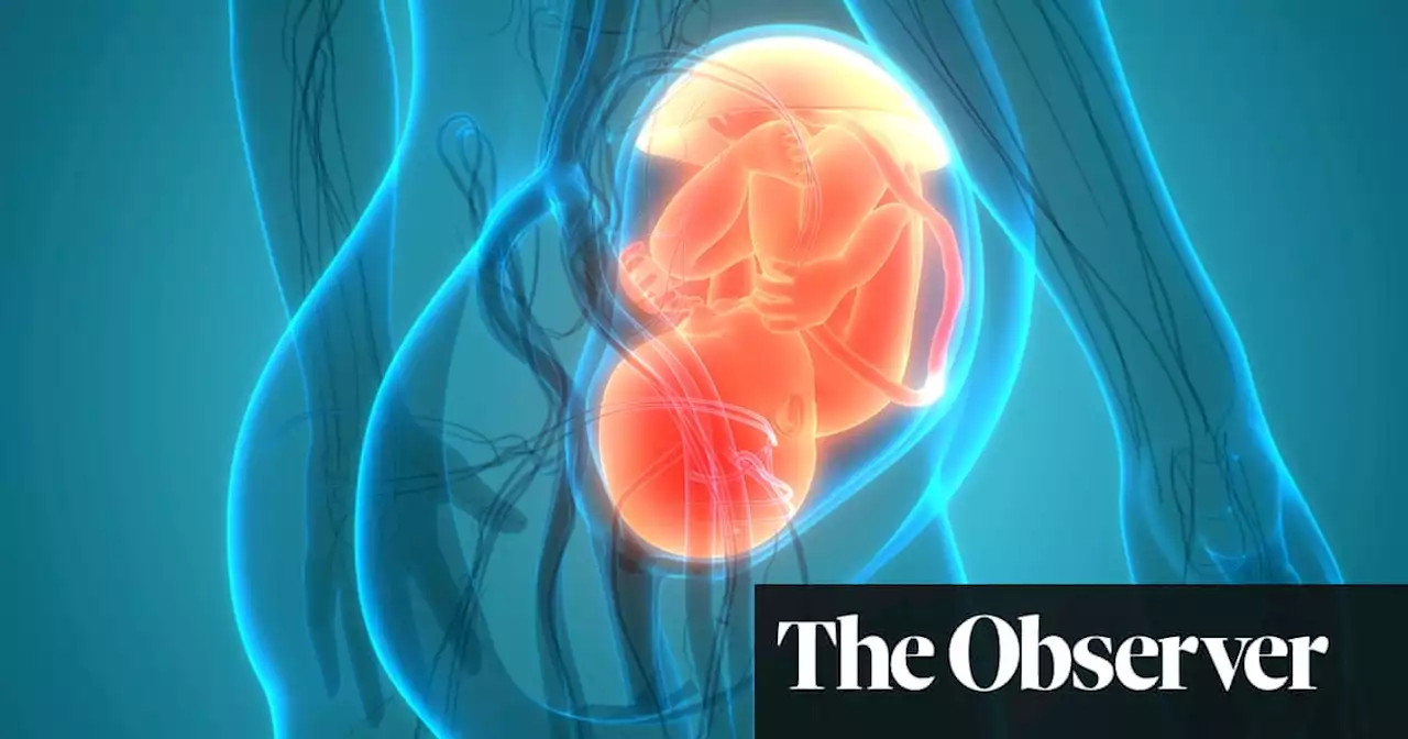 Gene genius: how the placenta project is unlocking the secrets of our cells