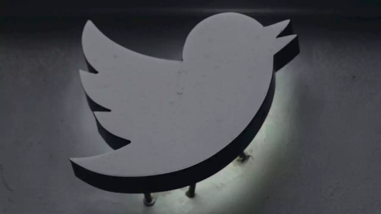 Twitter safety exec quits after anti-trans video strife | The Guardian Nigeria News - Nigeria and World News