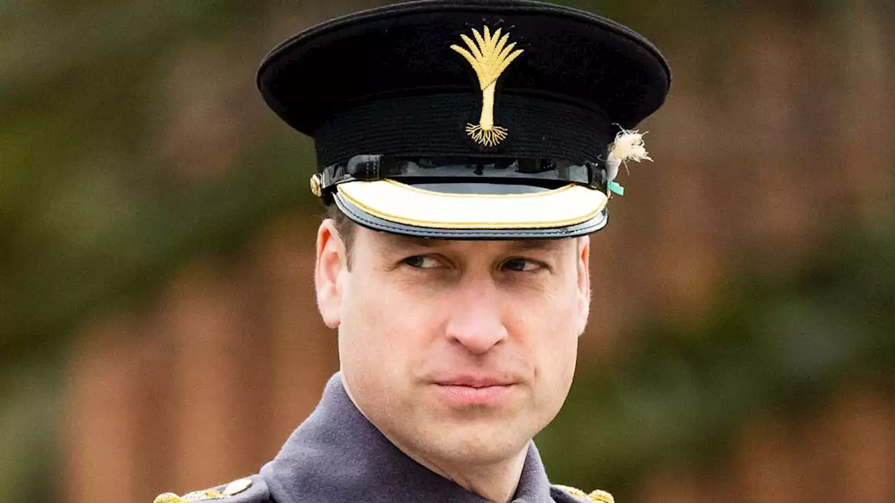 Prince William reunites with man whose life he helped save in touching video