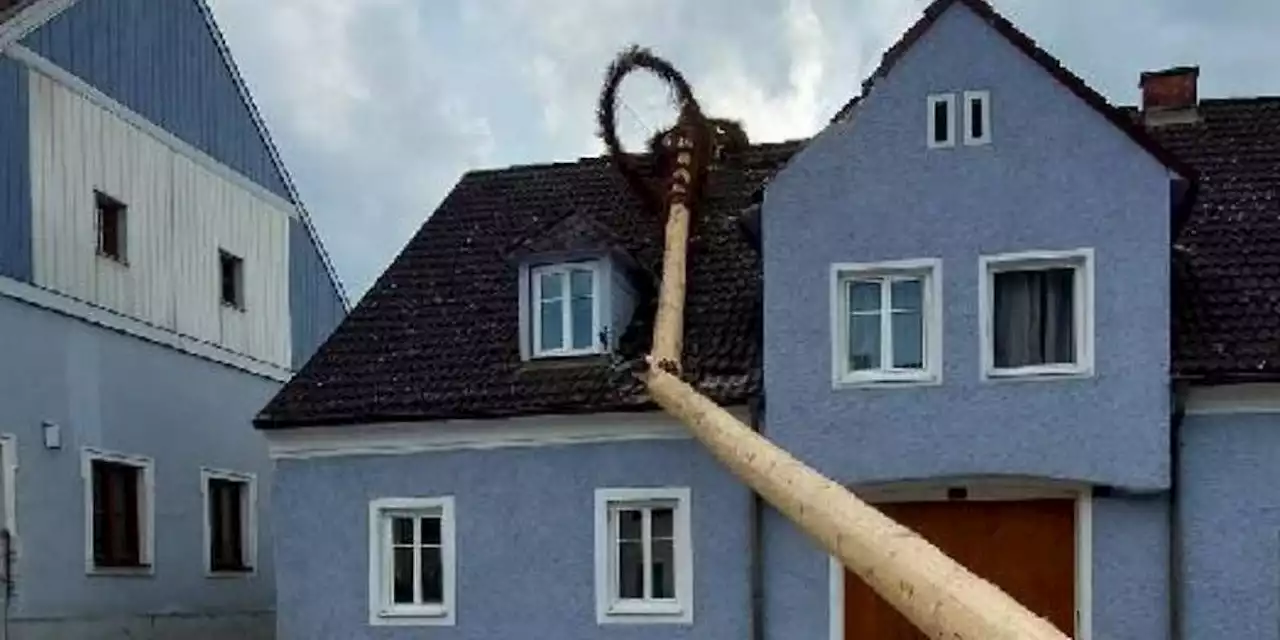 28-Meter-Maibaum stürzte in NÖ auf Wohnhaus