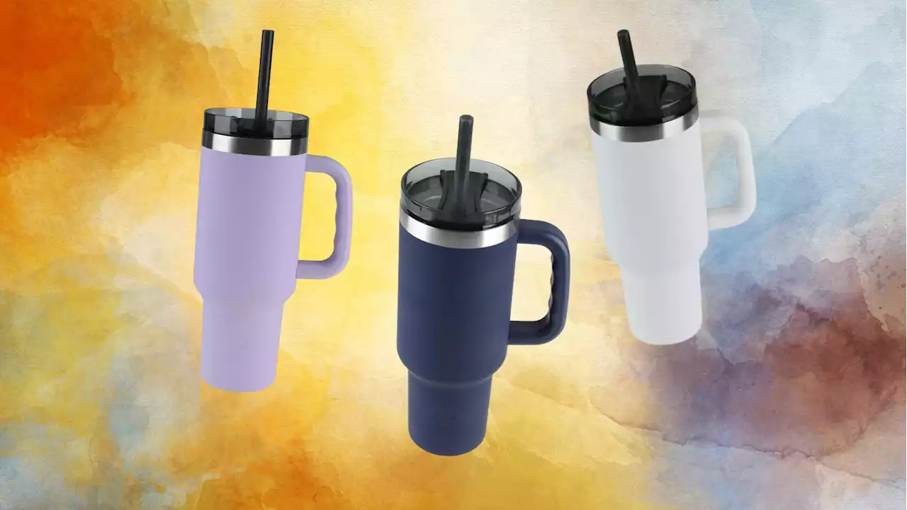 Psst: There's A $20 Lookalike For That Viral Drinking Tumbler