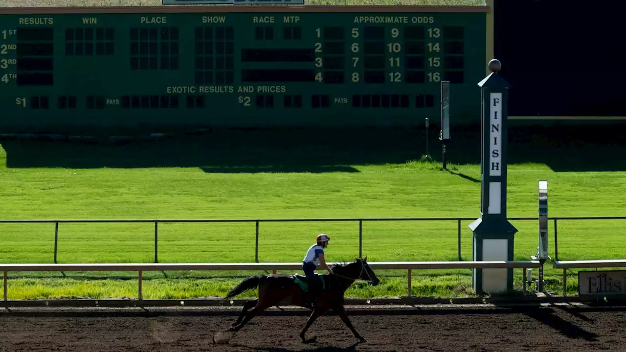 Churchill Downs Spring Meet moving to Ellis Park after 12 horse deaths at famed racetrack