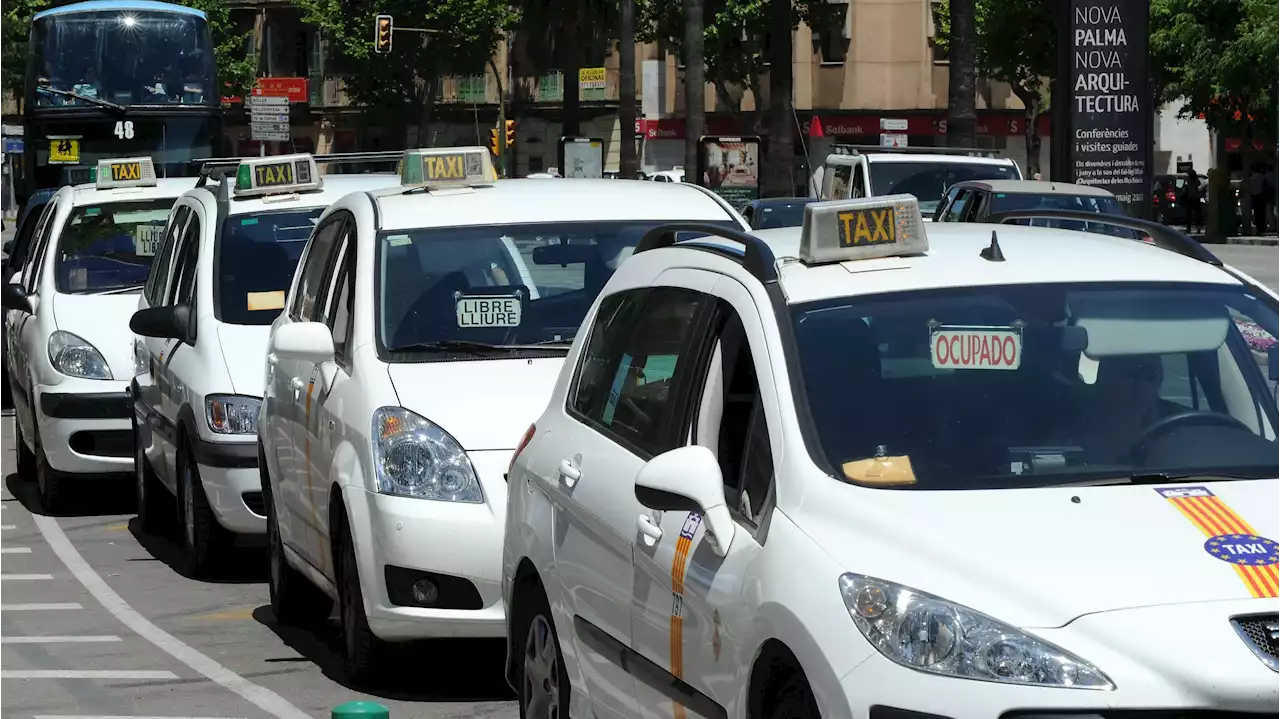 Dos jóvenes y dos menores, detenidos por dar una paliza a un taxista en Palma