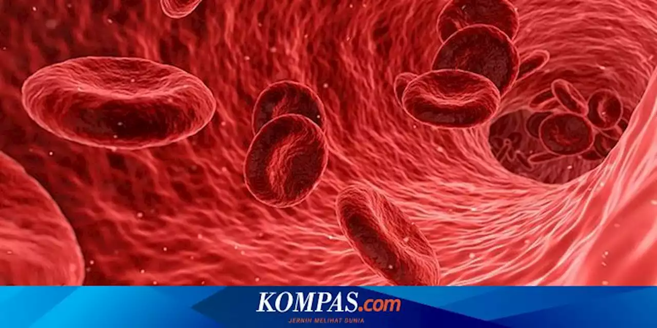 Ramai soal Pasangan Malaysia Batal Menikah karena Idap Thalasemia, Penyakit Apa Itu?