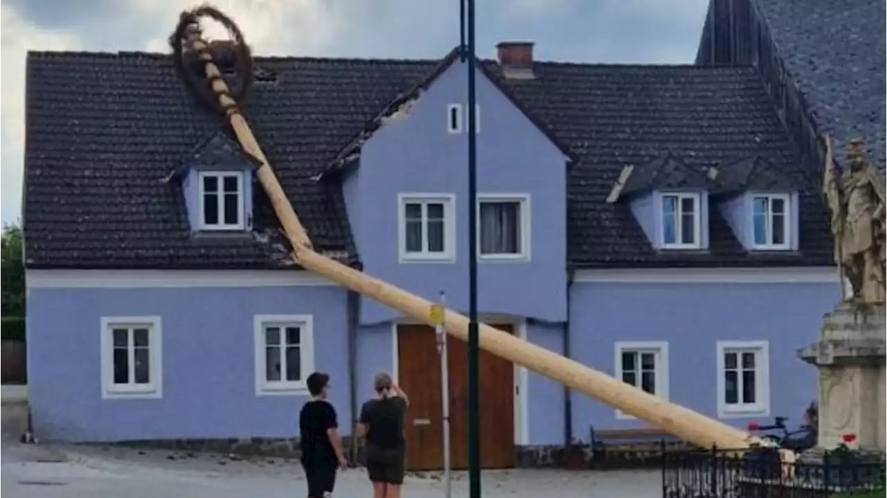 Maibaum kracht in ein Wohnhaus in NÖ