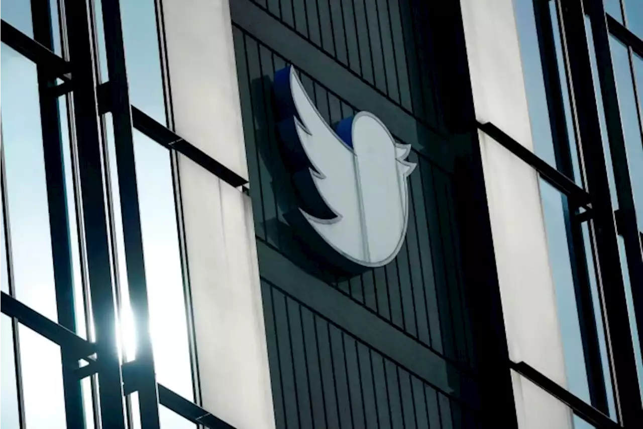 Twitter executive responsible for content safety resigns after Elon Musk criticism