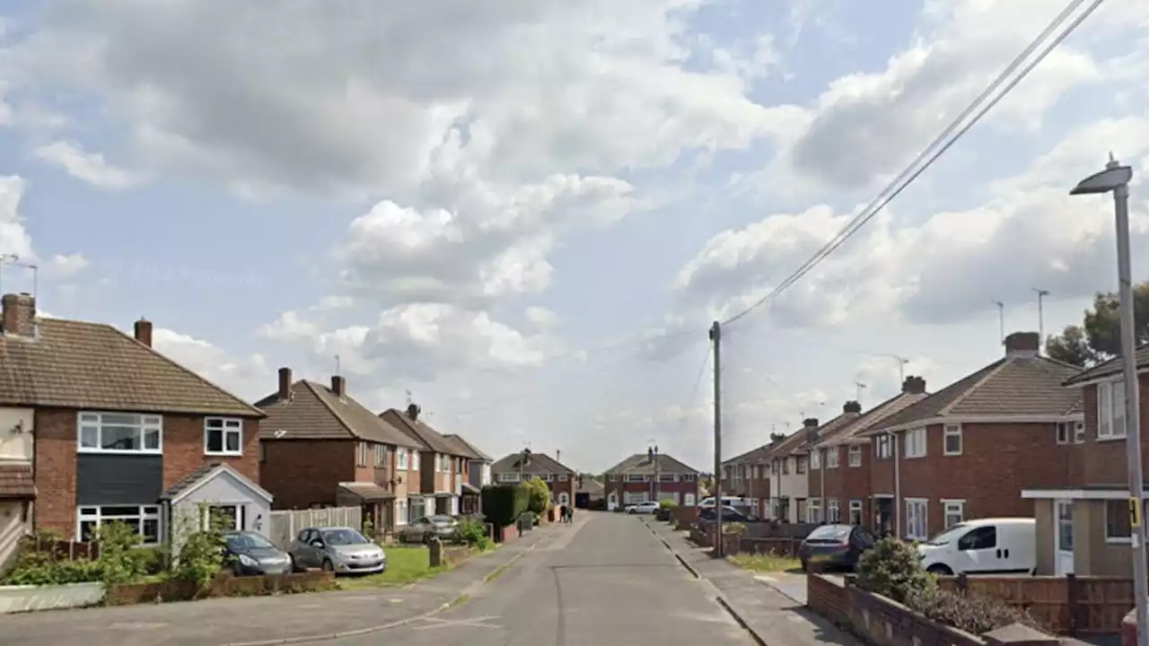 Woman in her 70s dies after dog attack, with two suspects arrested