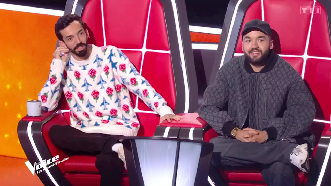 Bigflo et Oli, gagnants avant l’heure de cette saison de « The Voice »