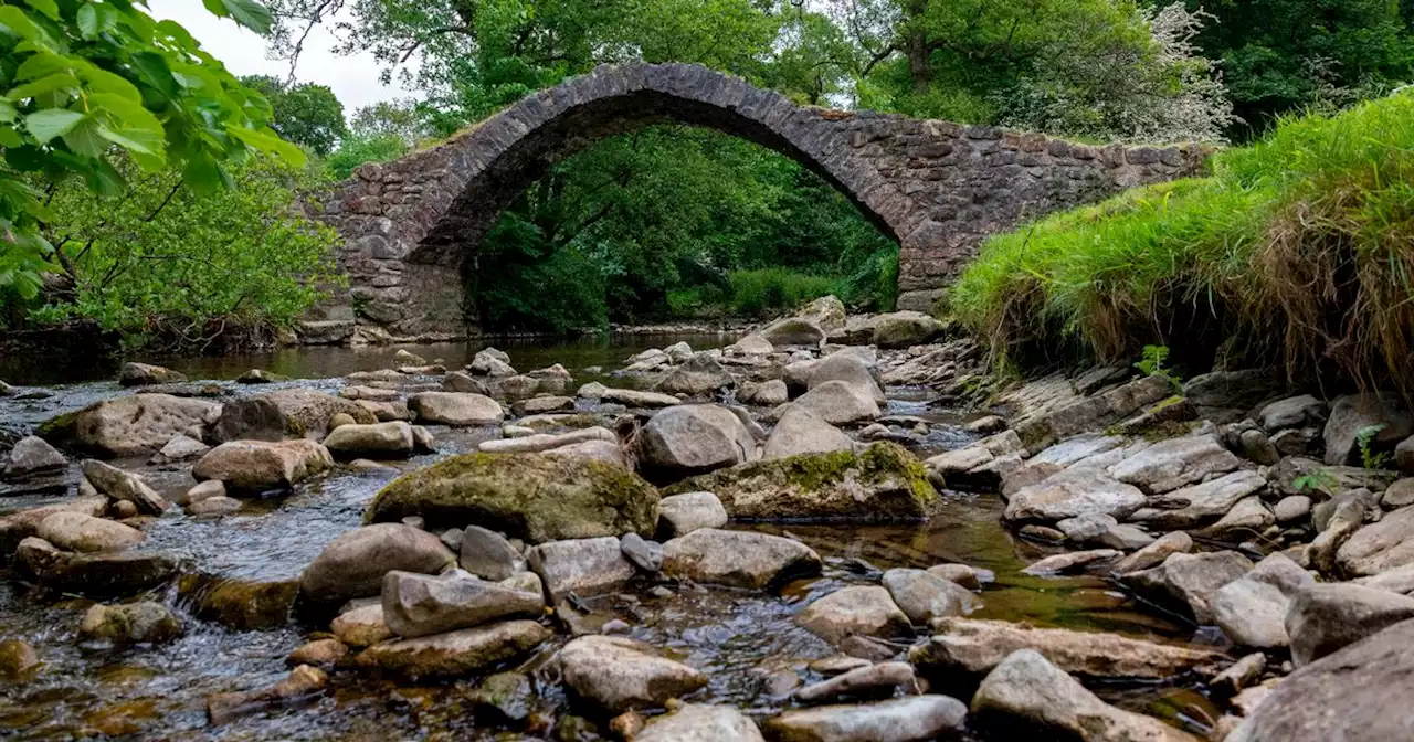 Hidden fairy bridge that's actually easy to find if you know where to look