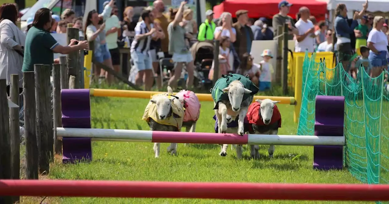 Thousands flock to legendary show as it marks 154th year