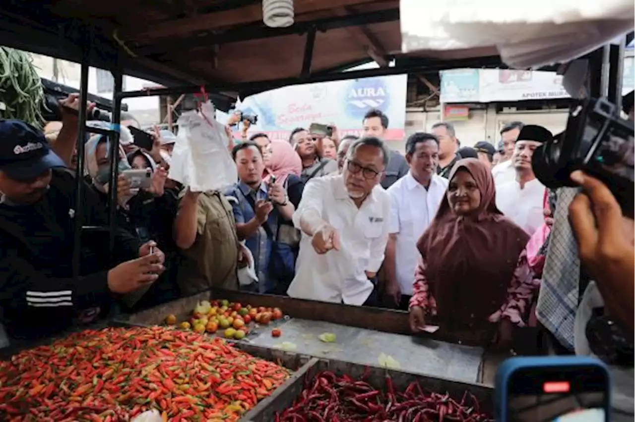 Mendag masih Pelajari Penyebab Harga Daging Ayam Tinggi