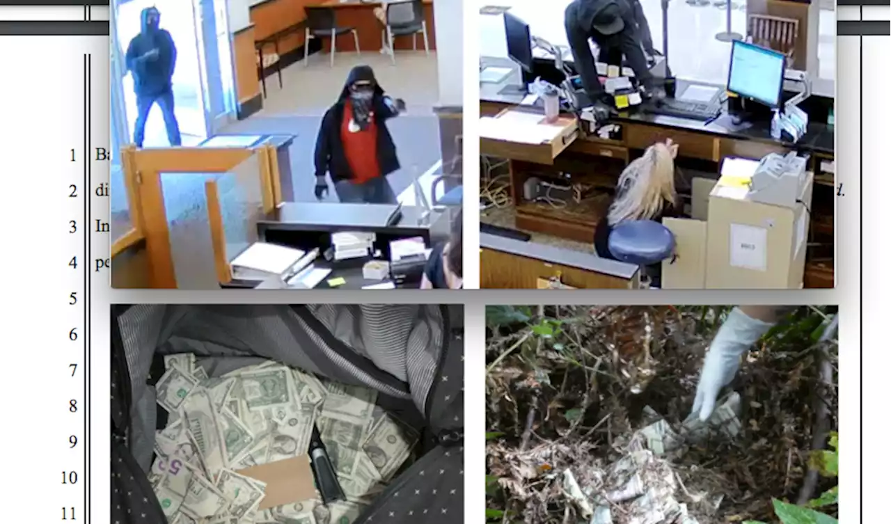 Takeover bank robbery led feds into Northern California woods for modern day treasure hunt