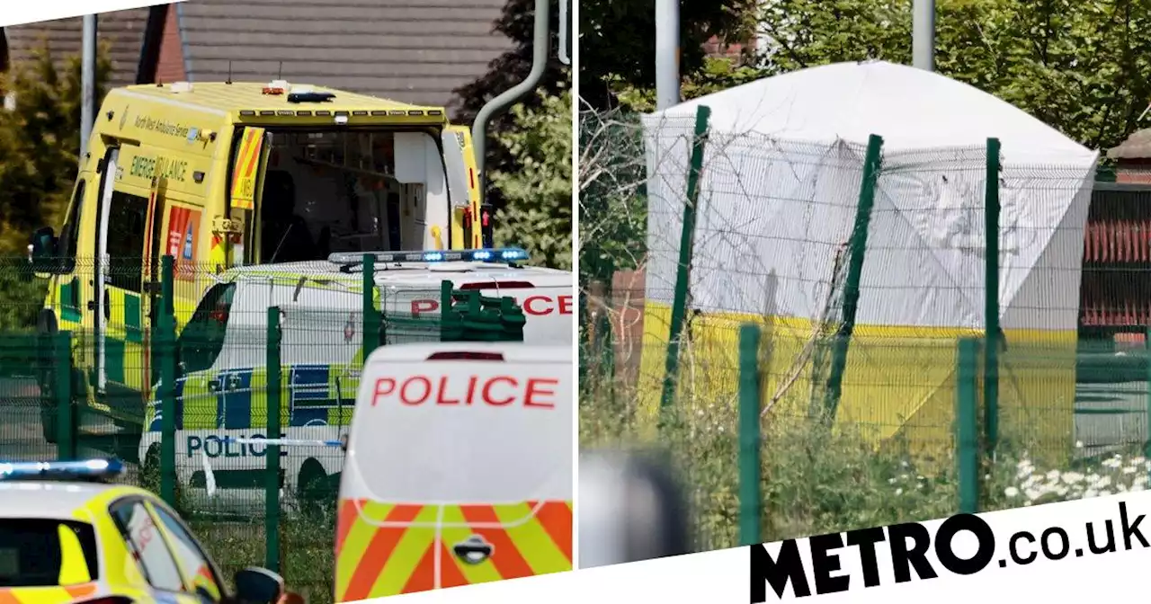 Man, 28, arrested after 51-year-old woman stabbed to death in Manchester