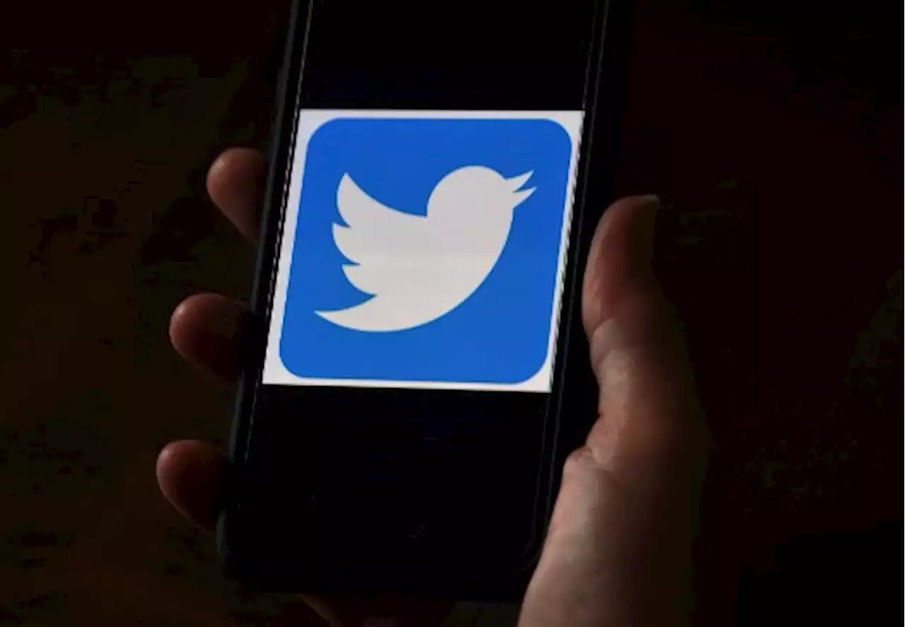 Twitter head of safety resigns after anti-trans video strife