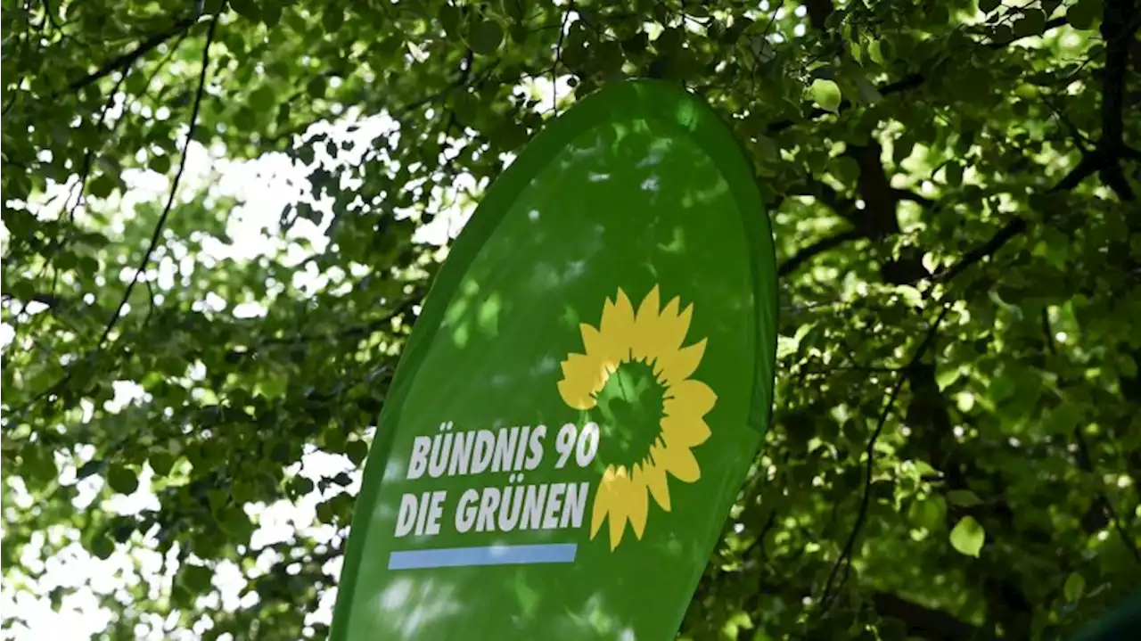 Berliner Grüne beraten auf Parteitag über Klimapolitik