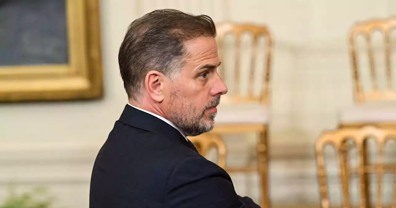 Why Hunter Biden may embrace the Second Amendment