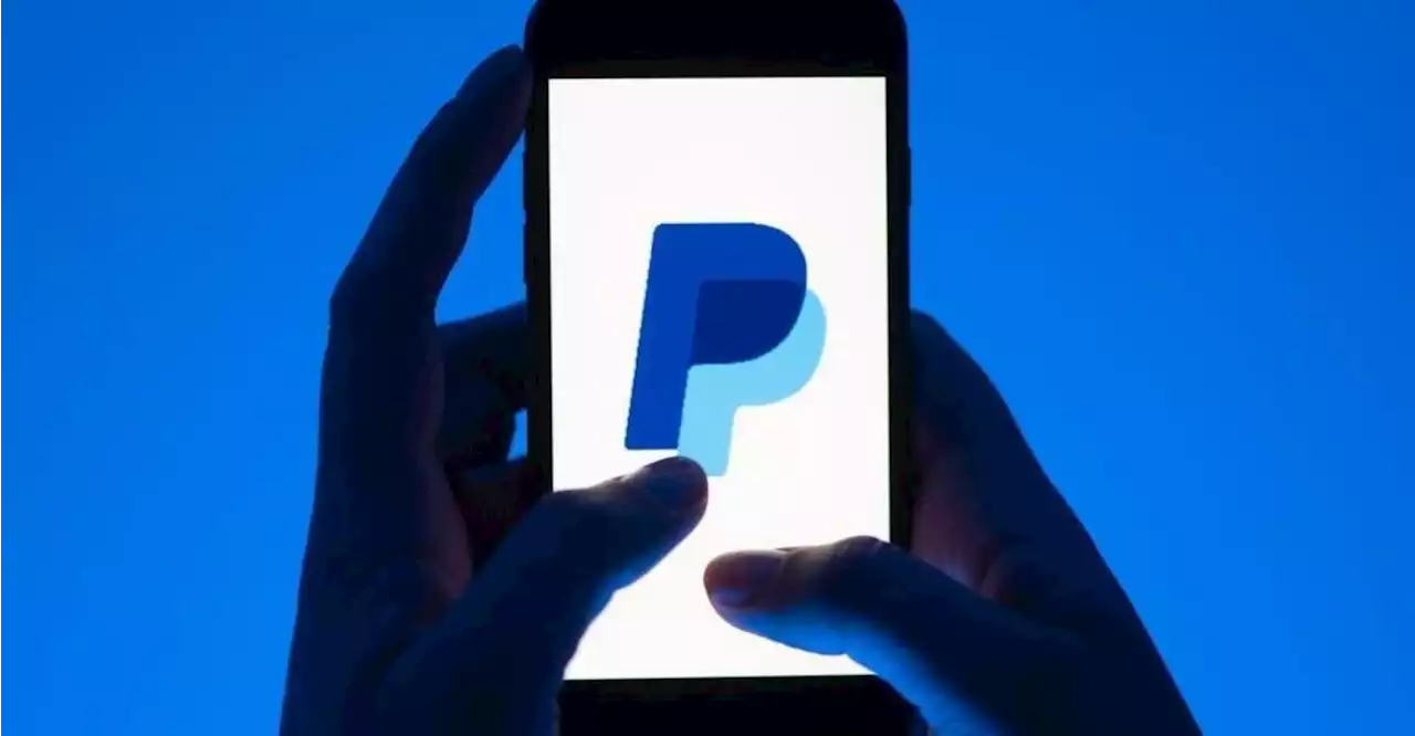 Paypal-Konto gehackt: 50-Jähriger aus Landkreis Kelheim verliert 17.000 Euro