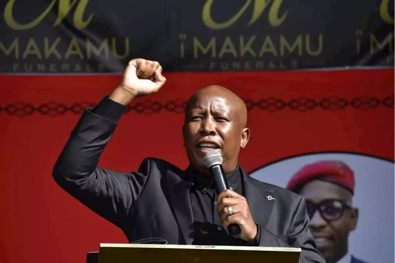 Ebrahim Harvey | Malema displays pathetic ignorance on Putin, Russia's history and Ukraine invasion | News24