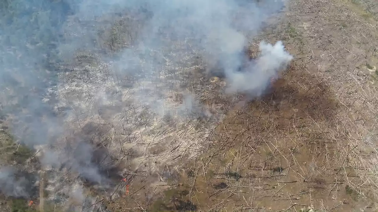 Waldbrand in Brandenburg weitet sich aus