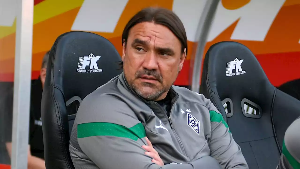 Warum der konfuse Daniel Farke selbst Schuld ist