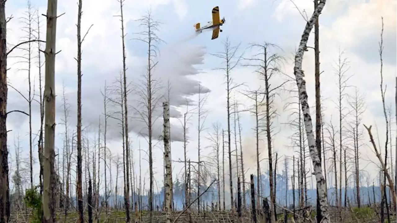 Keine Entwarnung für Waldbrand bei Jüterbog - Feuerwehr setzt Löscheinsatz fort