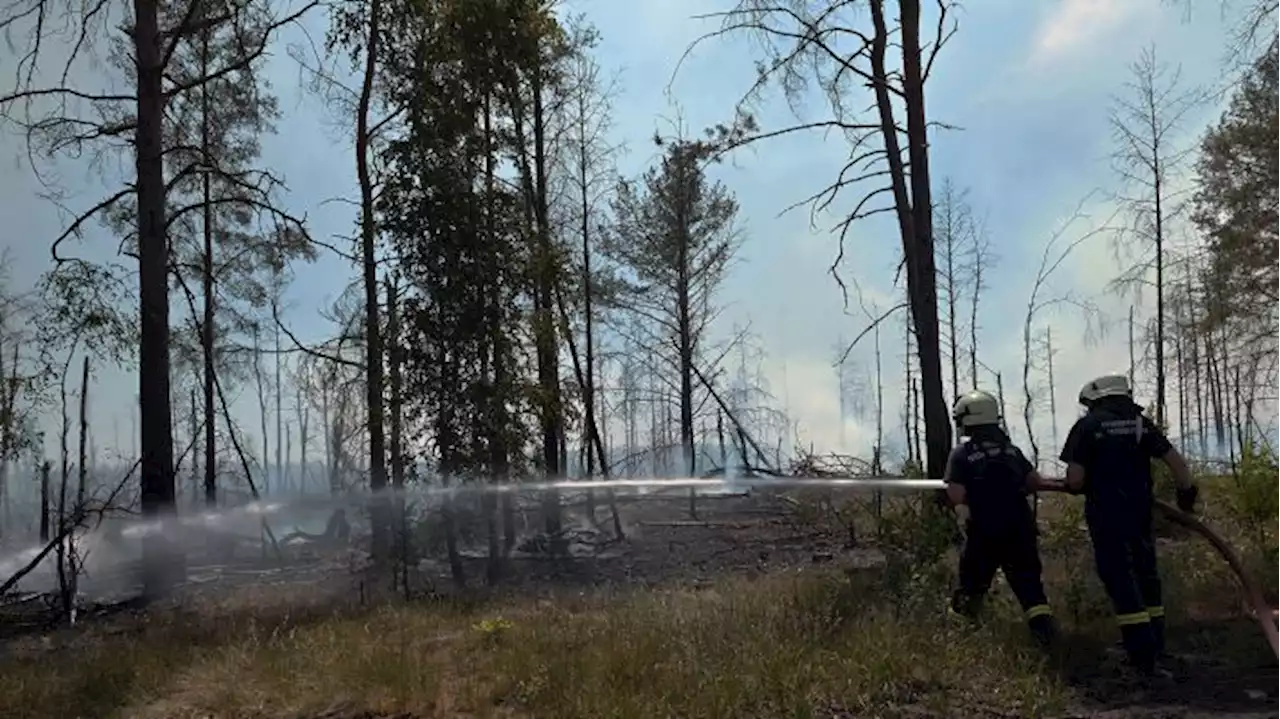 Weiteres Waldstück bei Jüterbog ist in Brand geraten