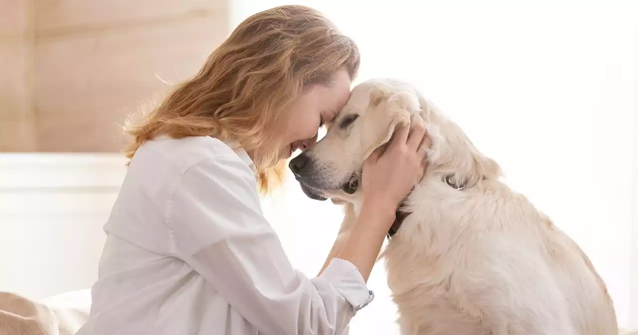 Behaviour expert warns why we should never hug our dogs