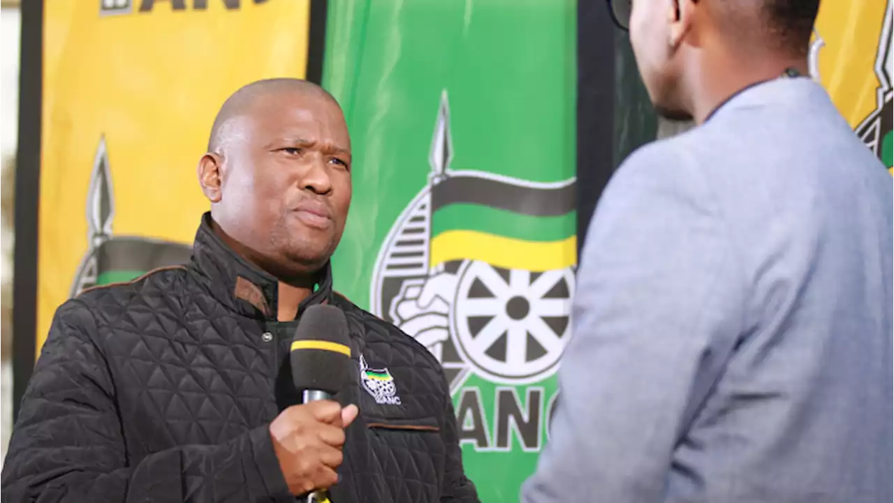 COPE calls for urgent removal of Eastern Cape premier - SABC News