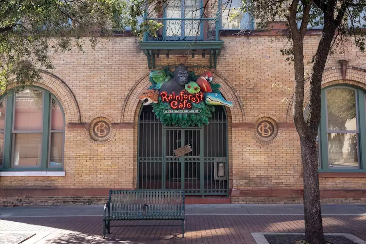 Despite claim in a viral TikTok clip, San Antonio's Rainforest Cafe was never a crematorium