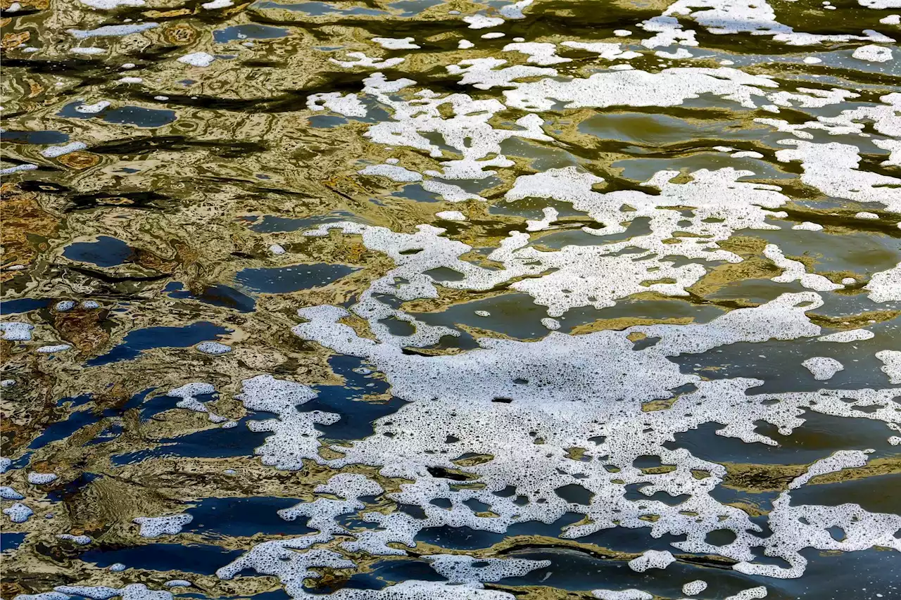 A Sustainable Solution – Unlocking the Hidden Potential of Wastewater