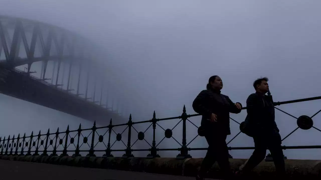 Sydney skyline blanketed by thick fog causing commuter chaos