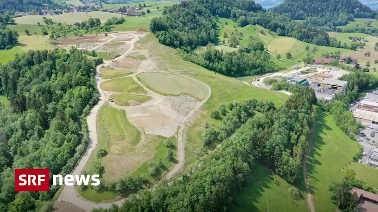 Bagger machen Fröschen Platz - Aus einem Zuger Schandfleck wird ein Naturparadies