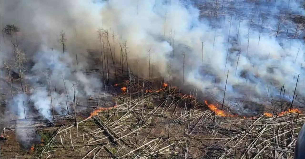 Un important incendie se propage dans une forêt allemande jonchée de vieilles munitions: «Le feu prend de l’ampleur»