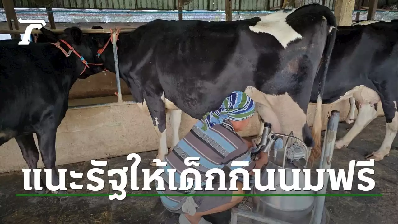 ผู้เลี้ยงโคนม แนะ รบ.ใหม่ต้องลดต้นทุนการผลิต งดเก็บภาษีเกษตรกร มีนมฟรีให้เด็ก