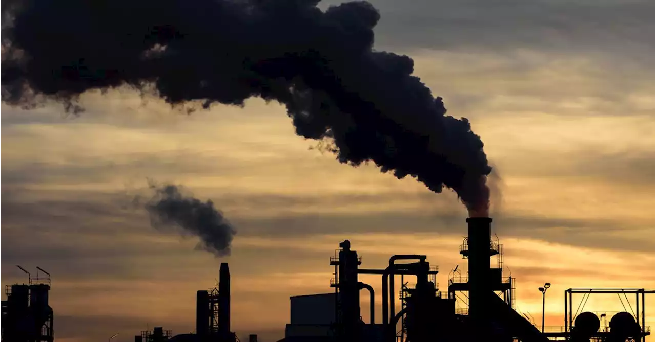 FACT CHECK: Yes, CO2 warms the planet and influences climate change | TheCable