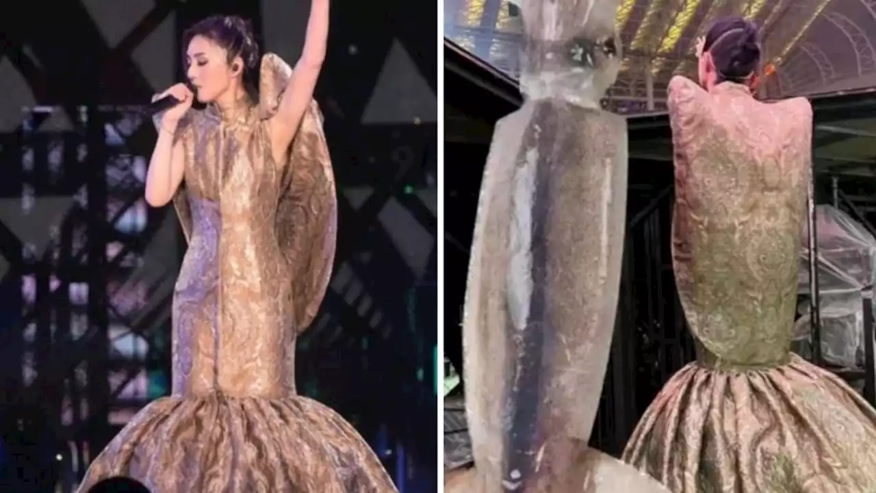 Miriam Yeung, 49, mocked for looking like BBQ sotong at recent concert