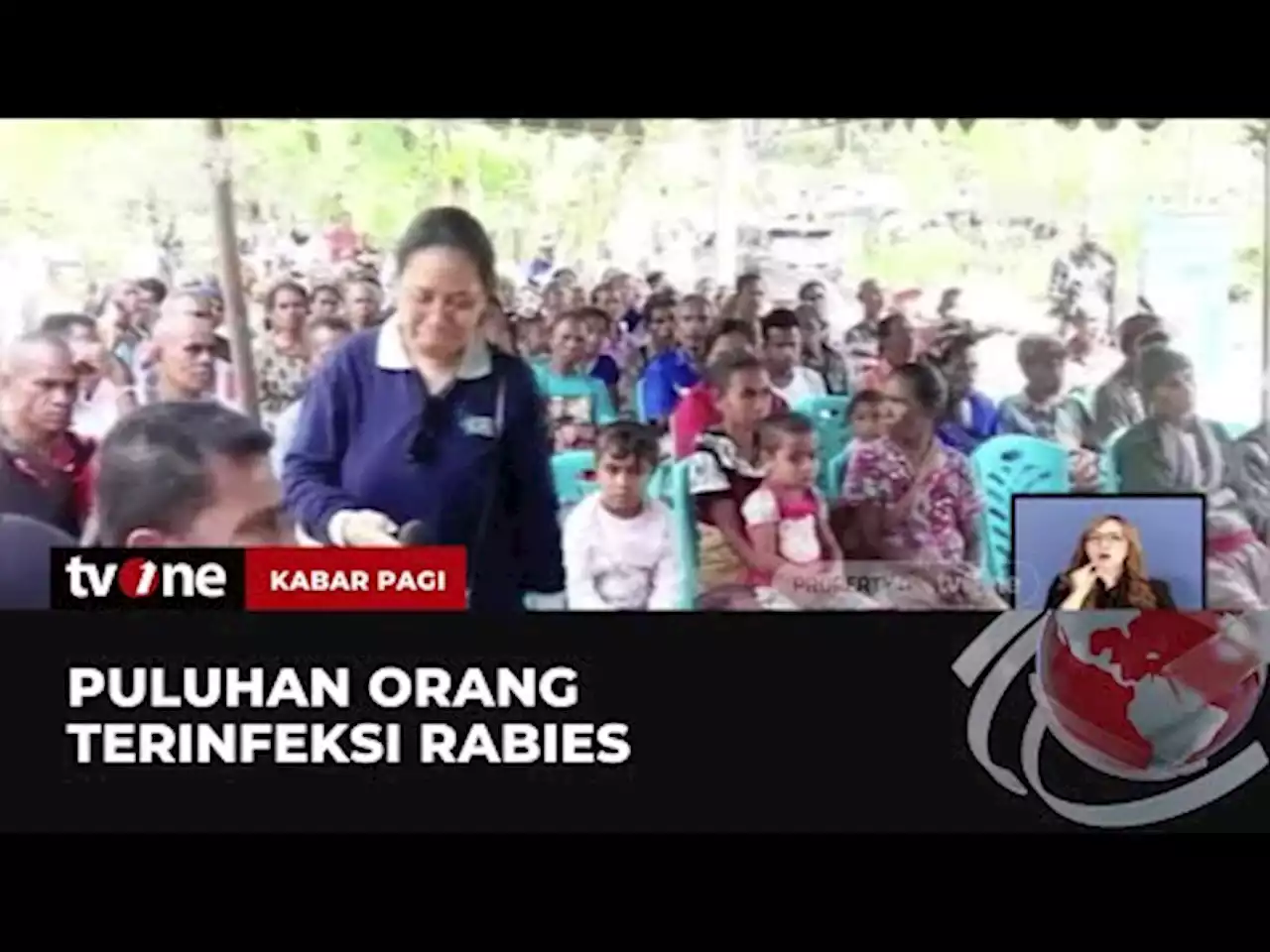 Darurat Rabies di Pulau Timor, Warga Terinfeksi Tersebar di 11 Kecamatan - tvOne