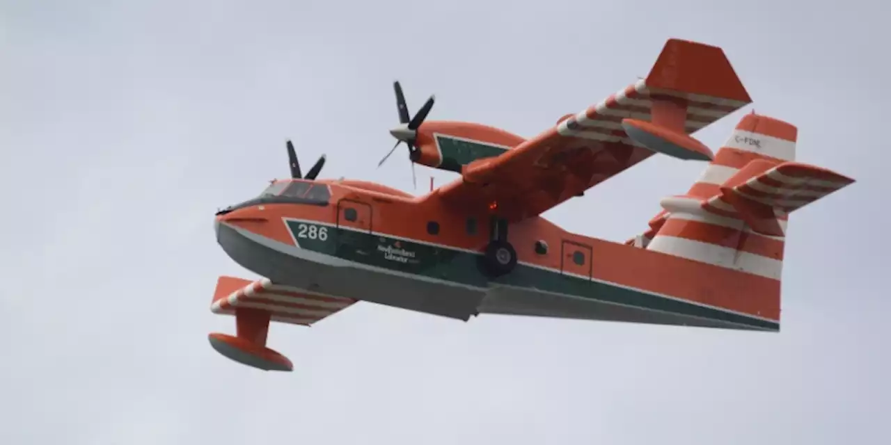 Officials Monitoring Forest Fire Risk in Labrador