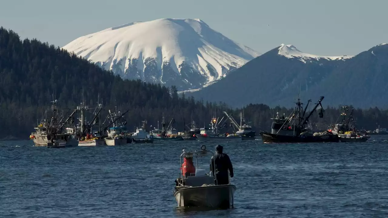 Tragedy that left 5 dead or missing puts spotlight on safety in Alaska charter fishing industry