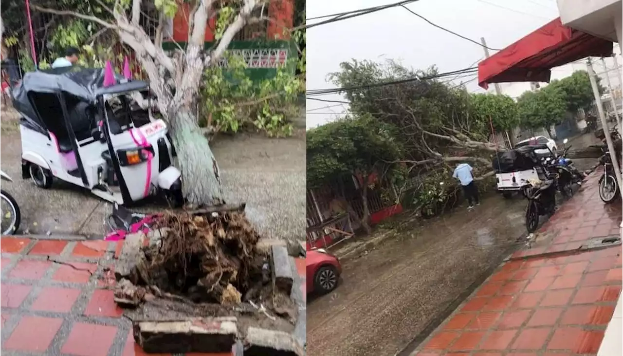 En Malambo, vendaval dejó casas destechadas, árboles caídos y varios barrios sin energía