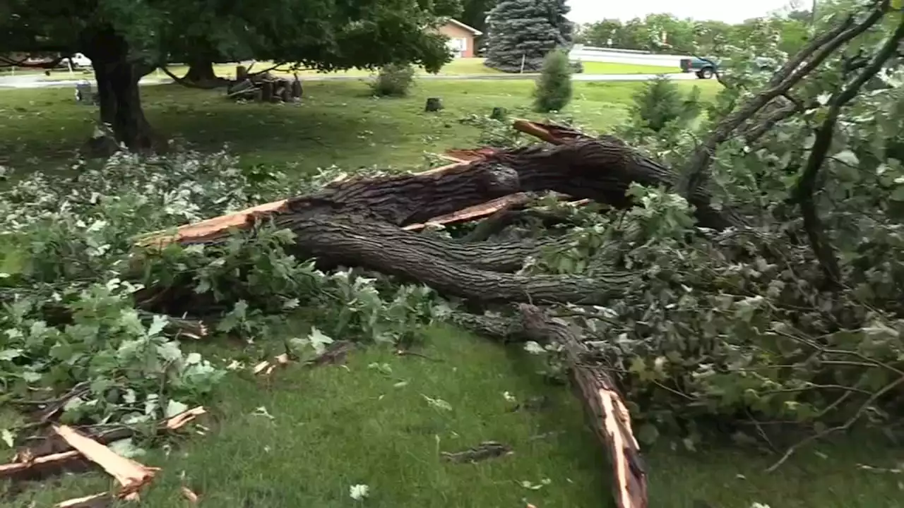 Illinois Weather: Storm cleanup underway downstate after derecho moves through area