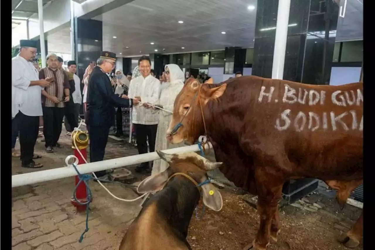 Kemenkes serahkan hasil kurban kepada 1.821 orang mustahik