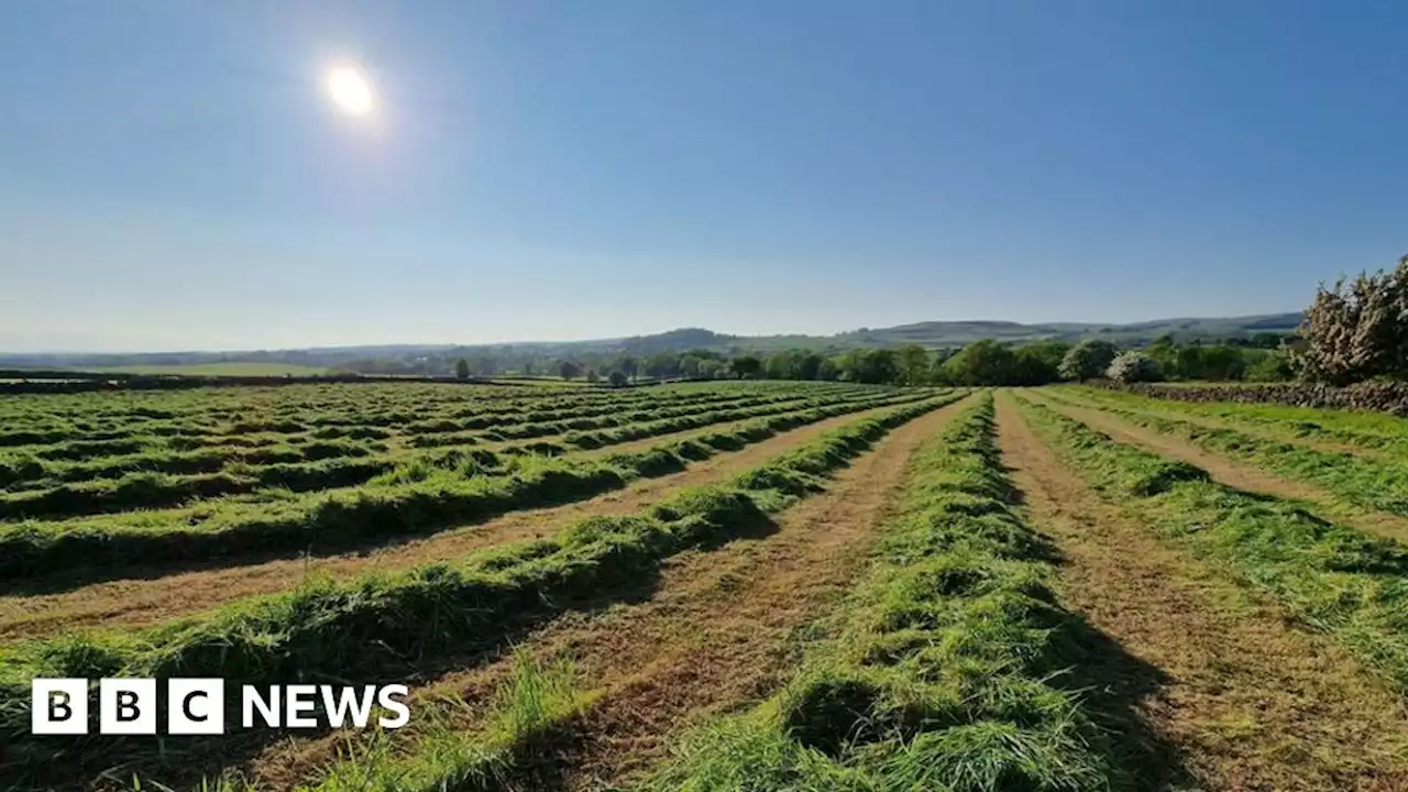 Northern Ireland weather: June was hottest on record says Met Office