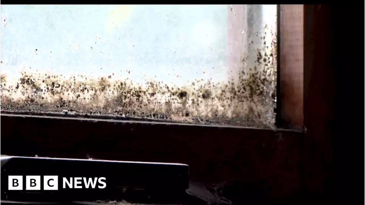 Social housing: Ballymena mum fears for family in mouldy home