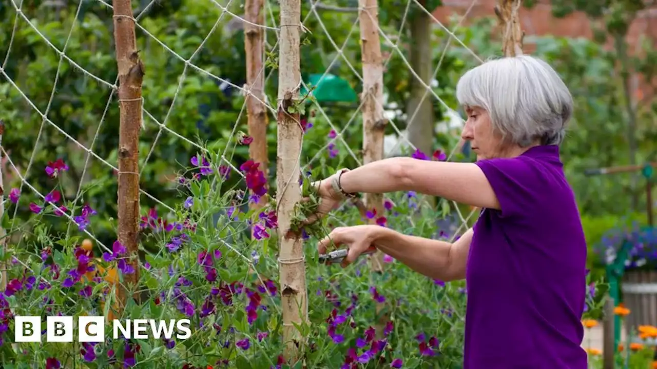 Guy's Cliffe gardeners look to unearth new volunteers