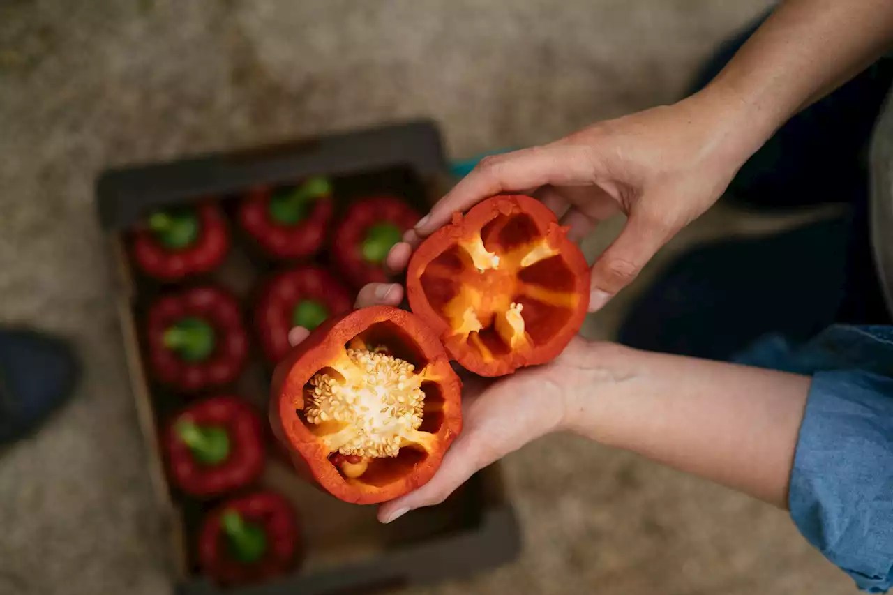 Hohe Rückstände: Foodwatch für Verbot von Insektizid Acetamiprid