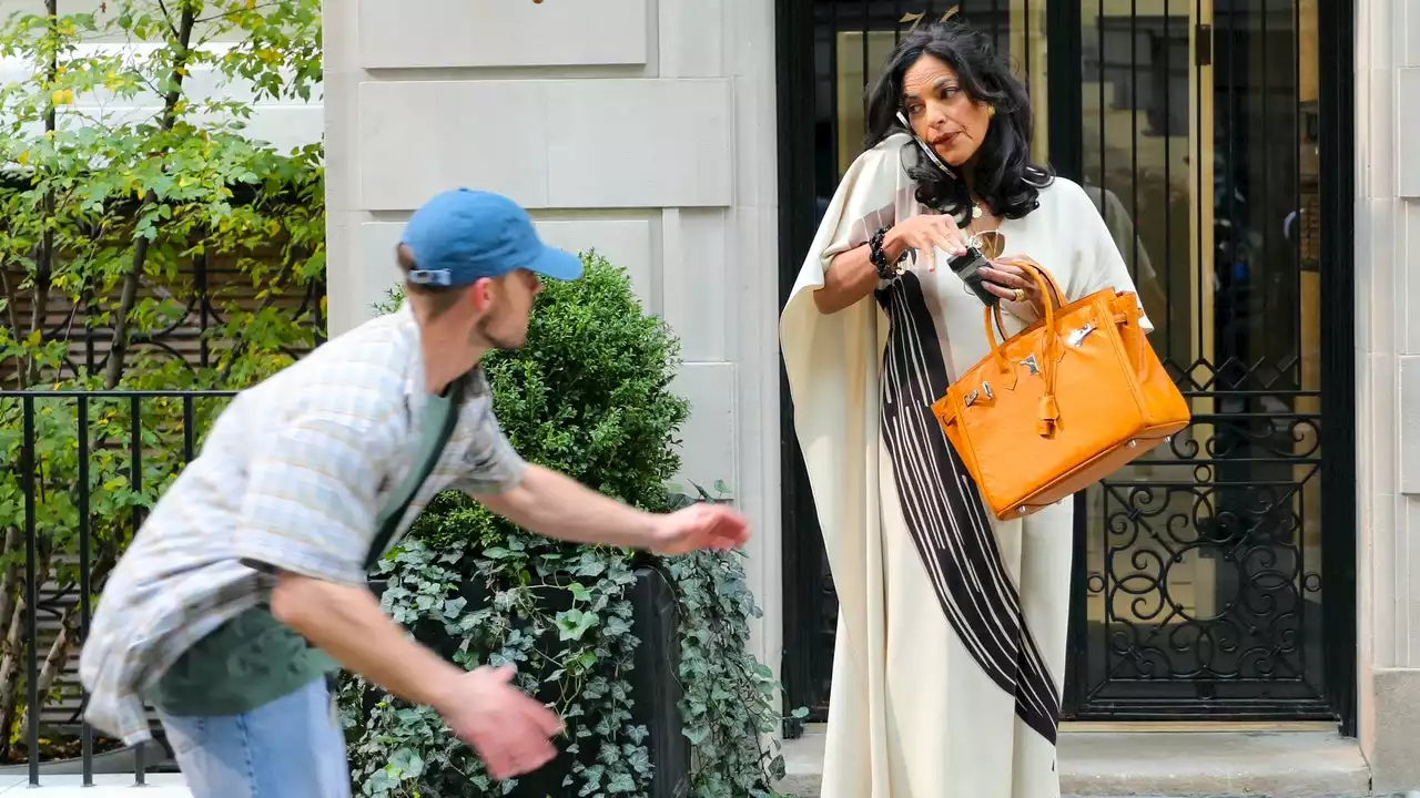 How Much Would Seema’s Stolen Birkin Bag Cost On ‘And Just Like That’?