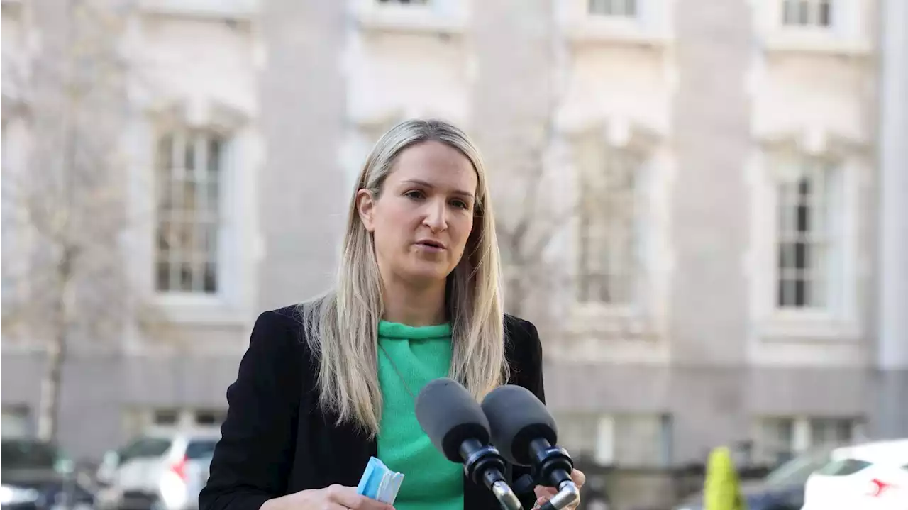 Helen McEntee pledges to fight for restoration of barristers’ fees in budget