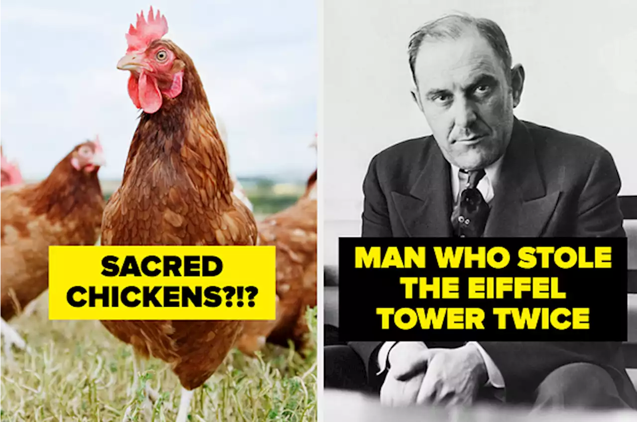 Here Are 15 Events From History That Never Not Be Funny